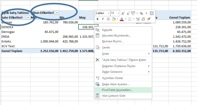 Excel Özet Tablolar-Ömer BAĞCI