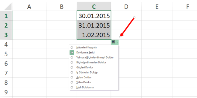 Excel'de Ayları, İş Günlerini, Yılları Doldurmak
