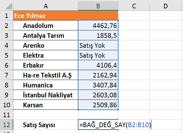 Excel İşlevleri - Ömer BAĞCI ile Excel