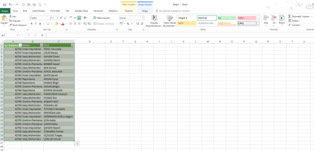 Sorgu ekranlarını kullanmak vidoport.com Omer BAGCI-4