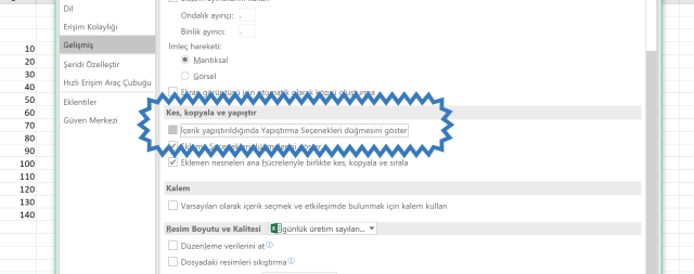 Otomatik Doldurma Seçenekleri Görünmüyorsa